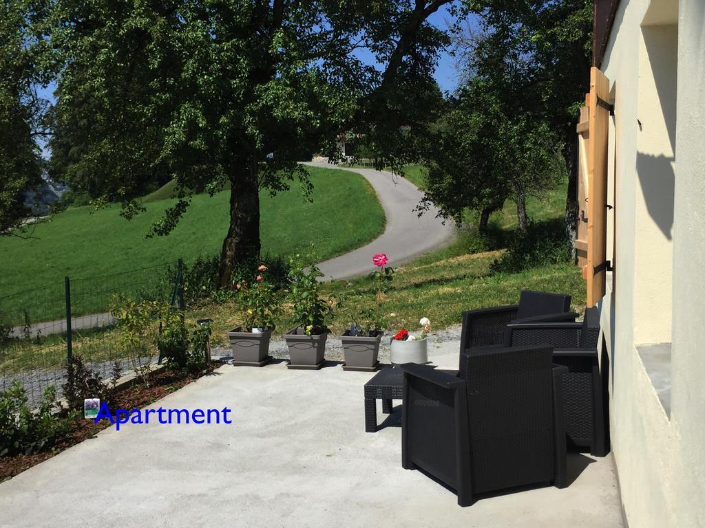 绿色小屋旅馆 Villard-sur-Boege 外观 照片