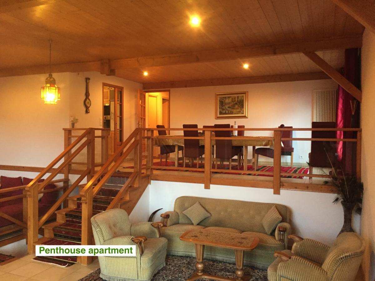 绿色小屋旅馆 Villard-sur-Boege 外观 照片