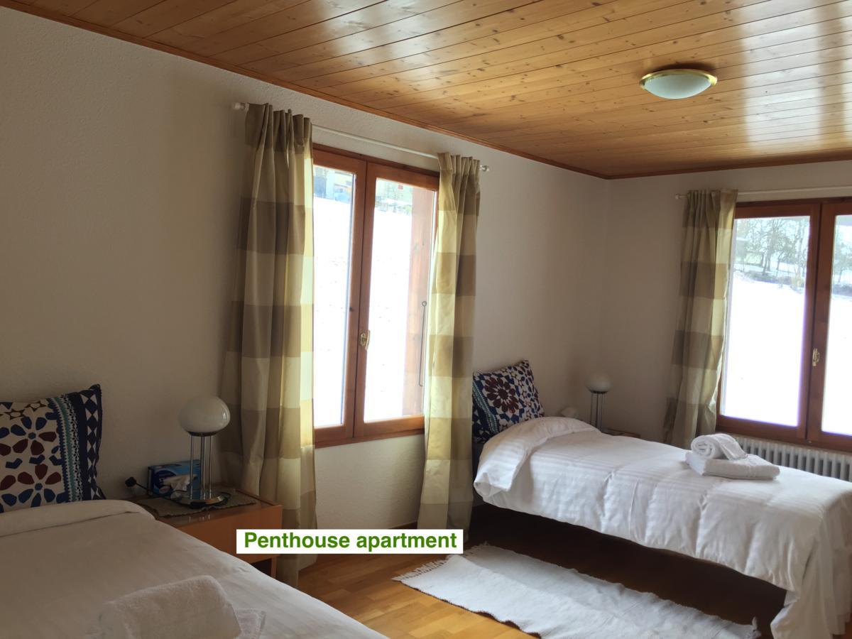 绿色小屋旅馆 Villard-sur-Boege 外观 照片