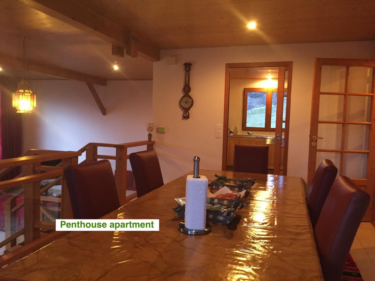 绿色小屋旅馆 Villard-sur-Boege 外观 照片