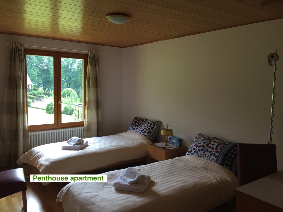 绿色小屋旅馆 Villard-sur-Boege 外观 照片