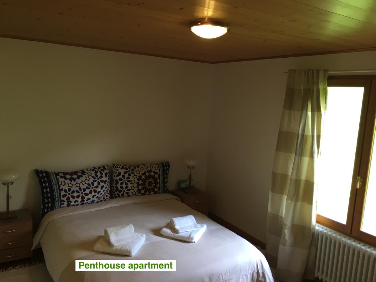 绿色小屋旅馆 Villard-sur-Boege 外观 照片