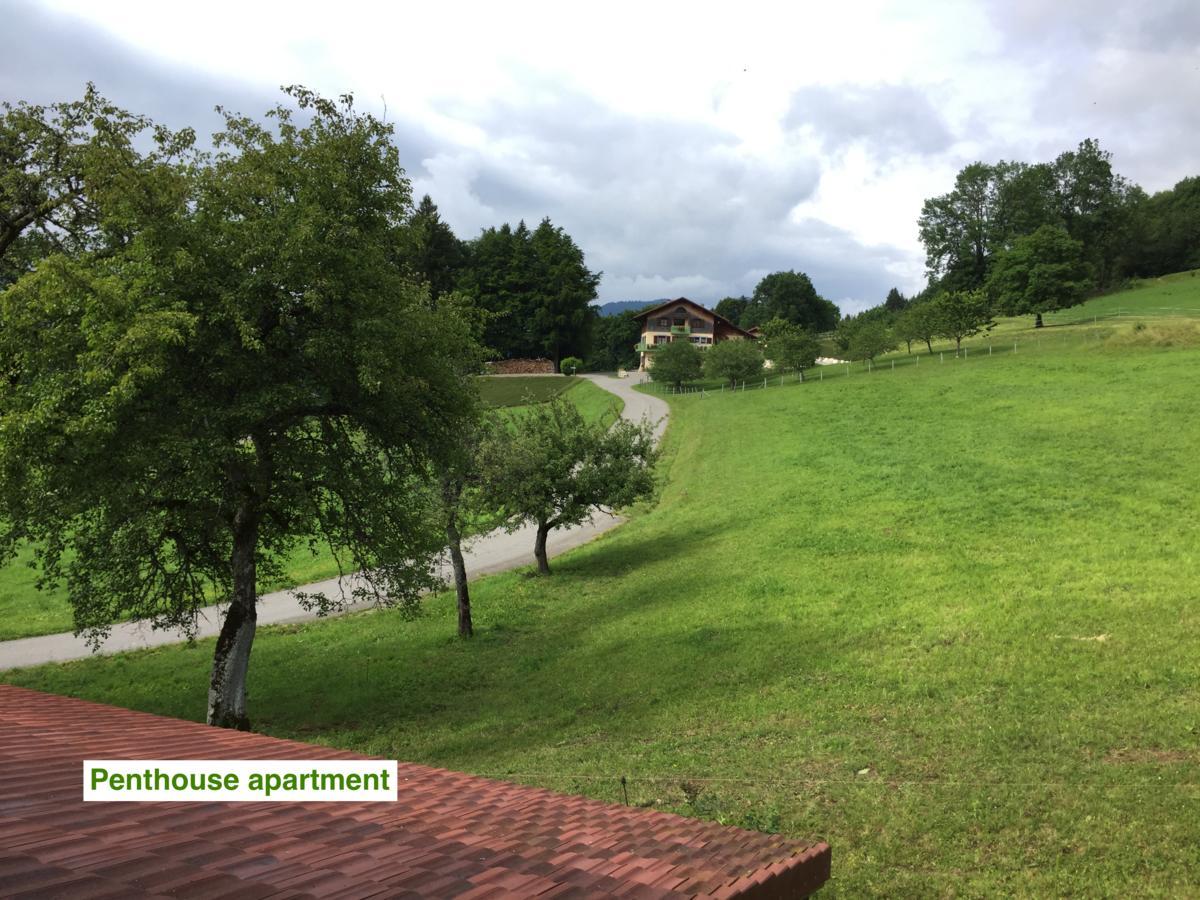 绿色小屋旅馆 Villard-sur-Boege 外观 照片