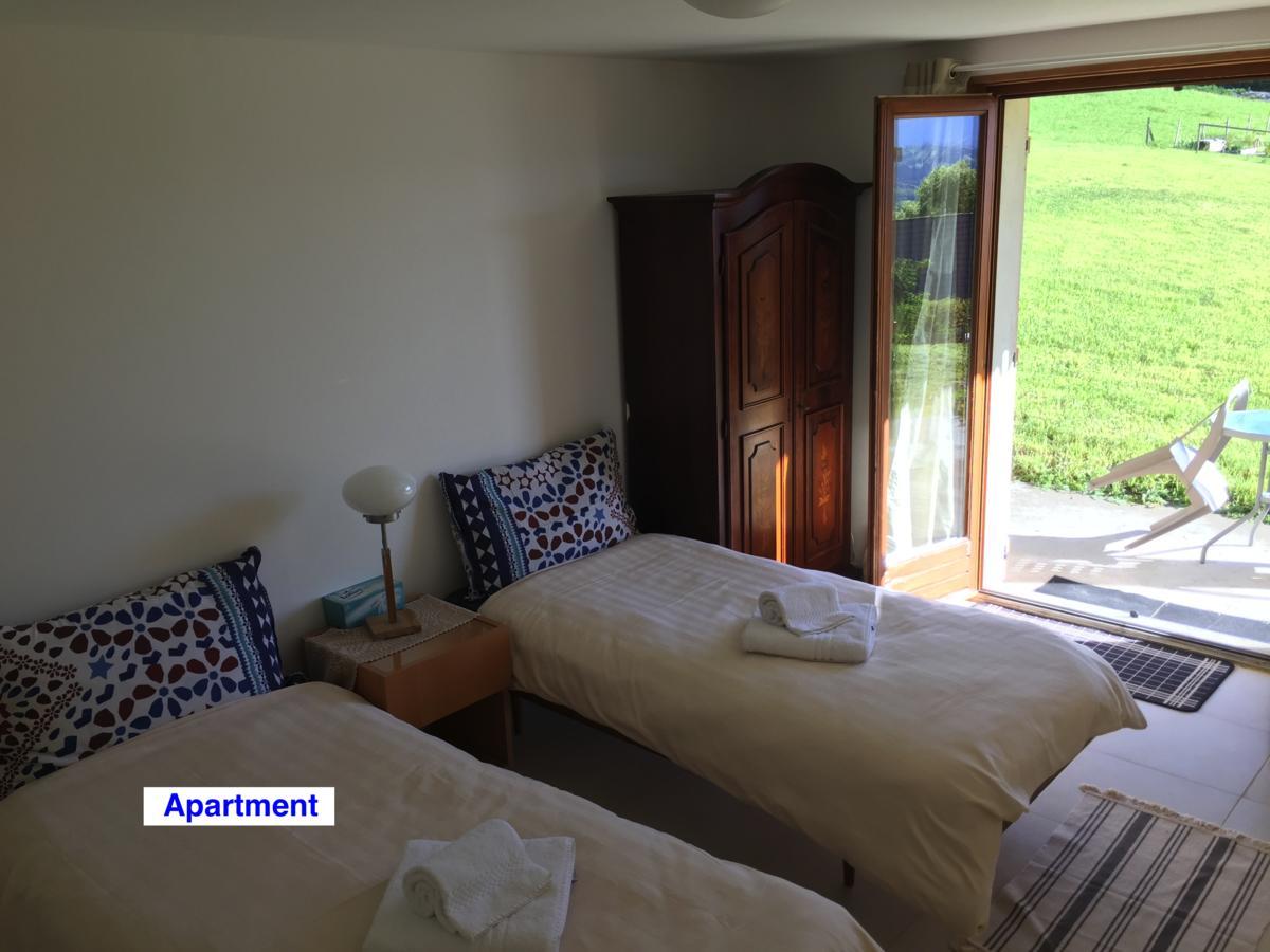 绿色小屋旅馆 Villard-sur-Boege 外观 照片